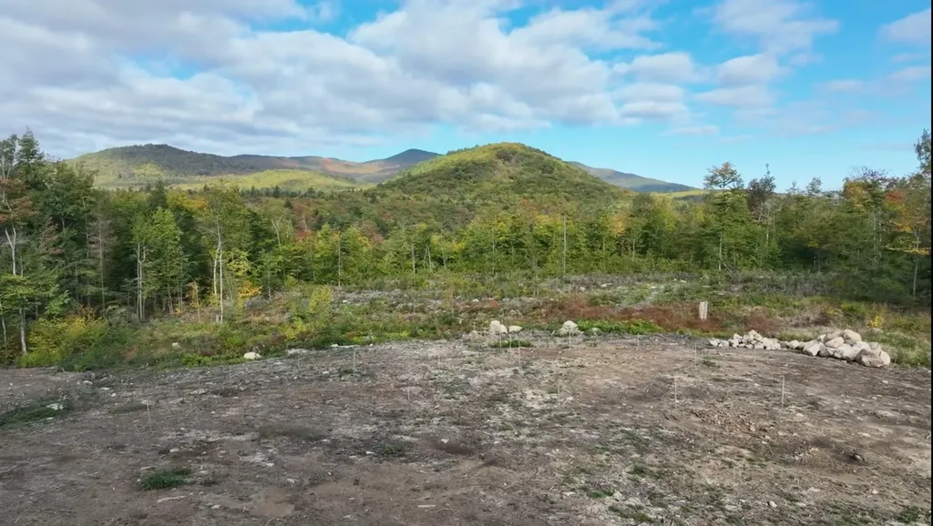 314 Ossipee Mountain Road Ossipee NH 03814