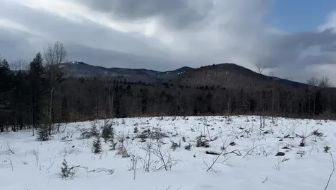 314 Ossipee Mountain Road Ossipee NH 03814