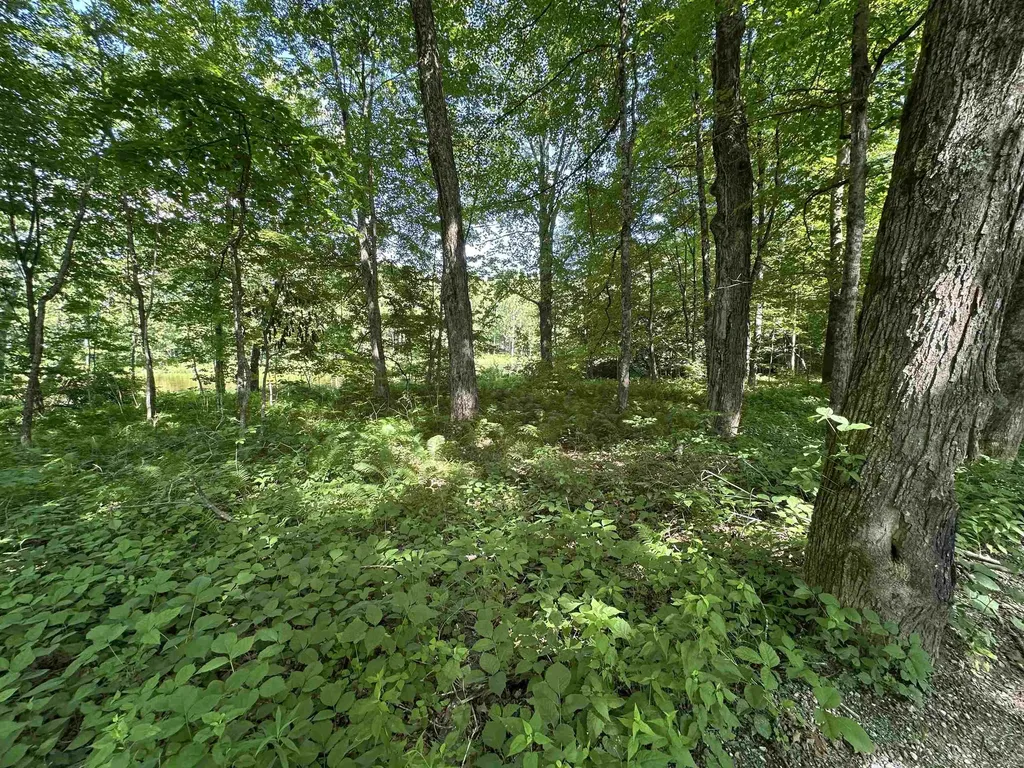 2903 State Forest Road Townshend VT 05353