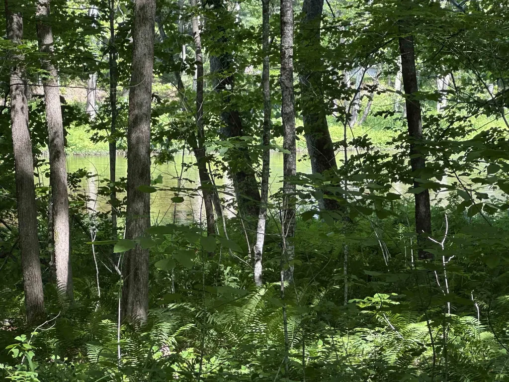2903 State Forest Road Townshend VT 05353