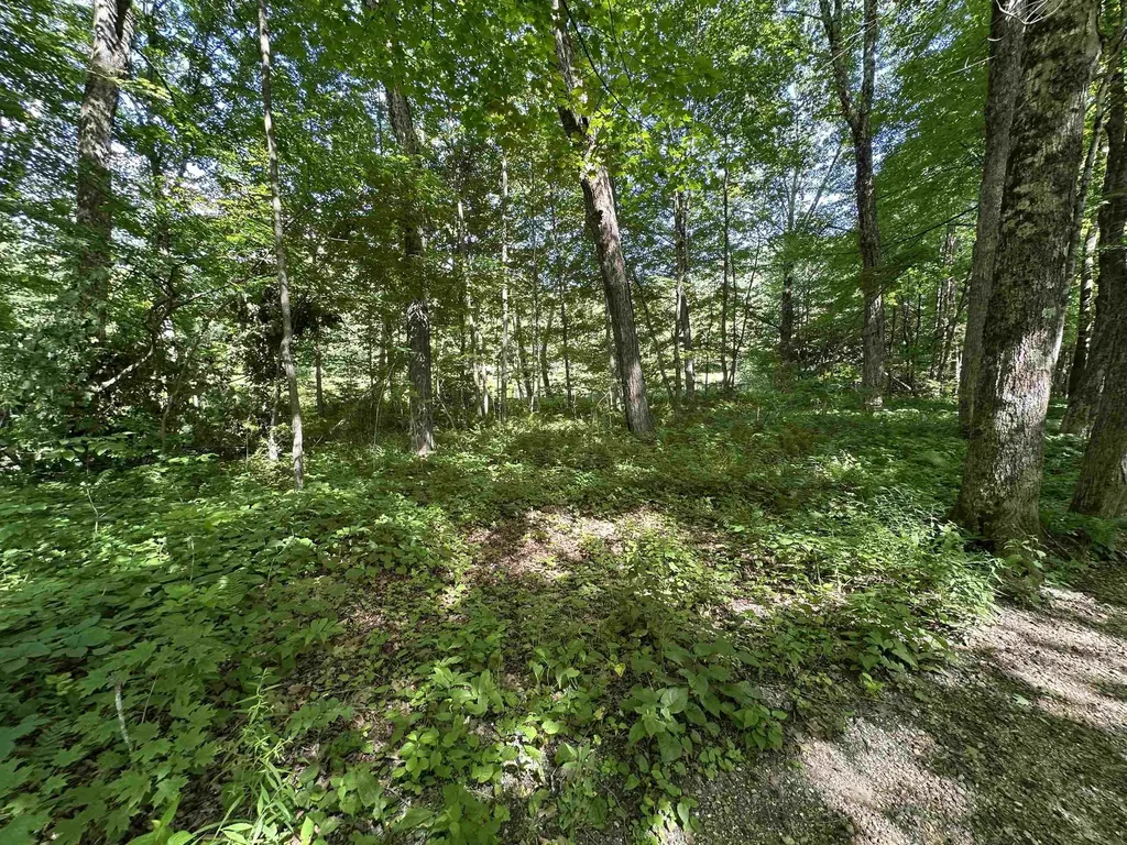 2903 State Forest Road Townshend VT 05353