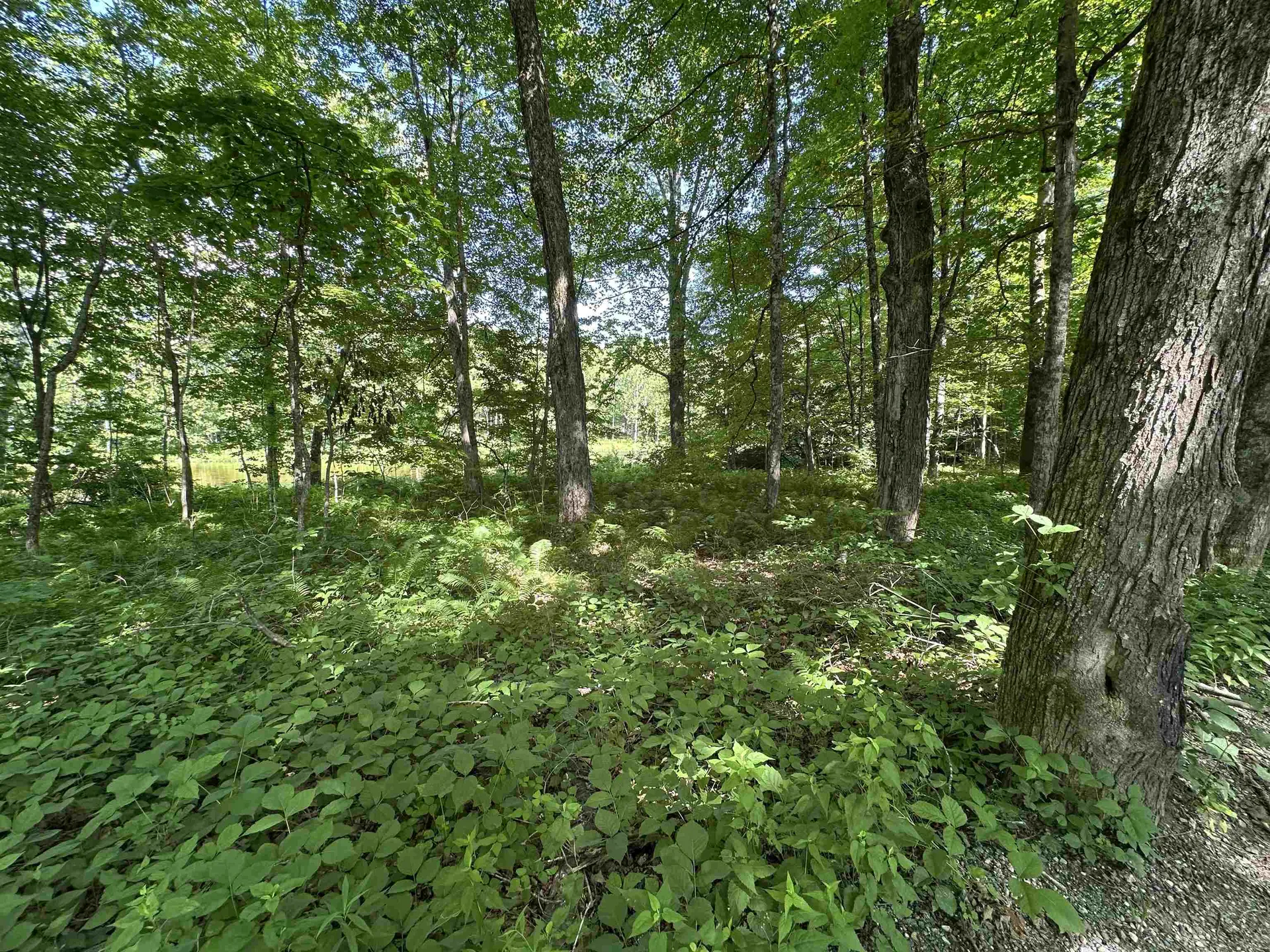 2903 State Forest Road Townshend VT 05353