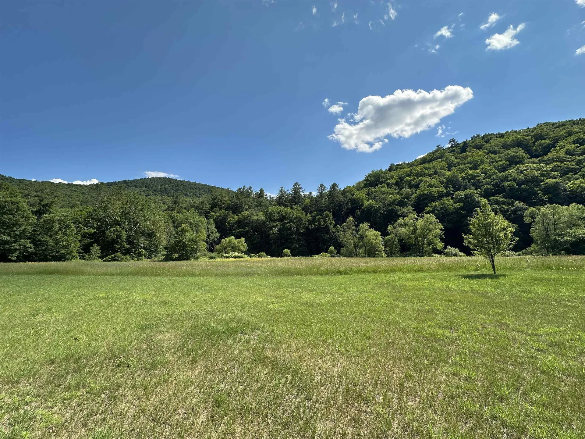2903 State Forest Road Townshend VT 05353