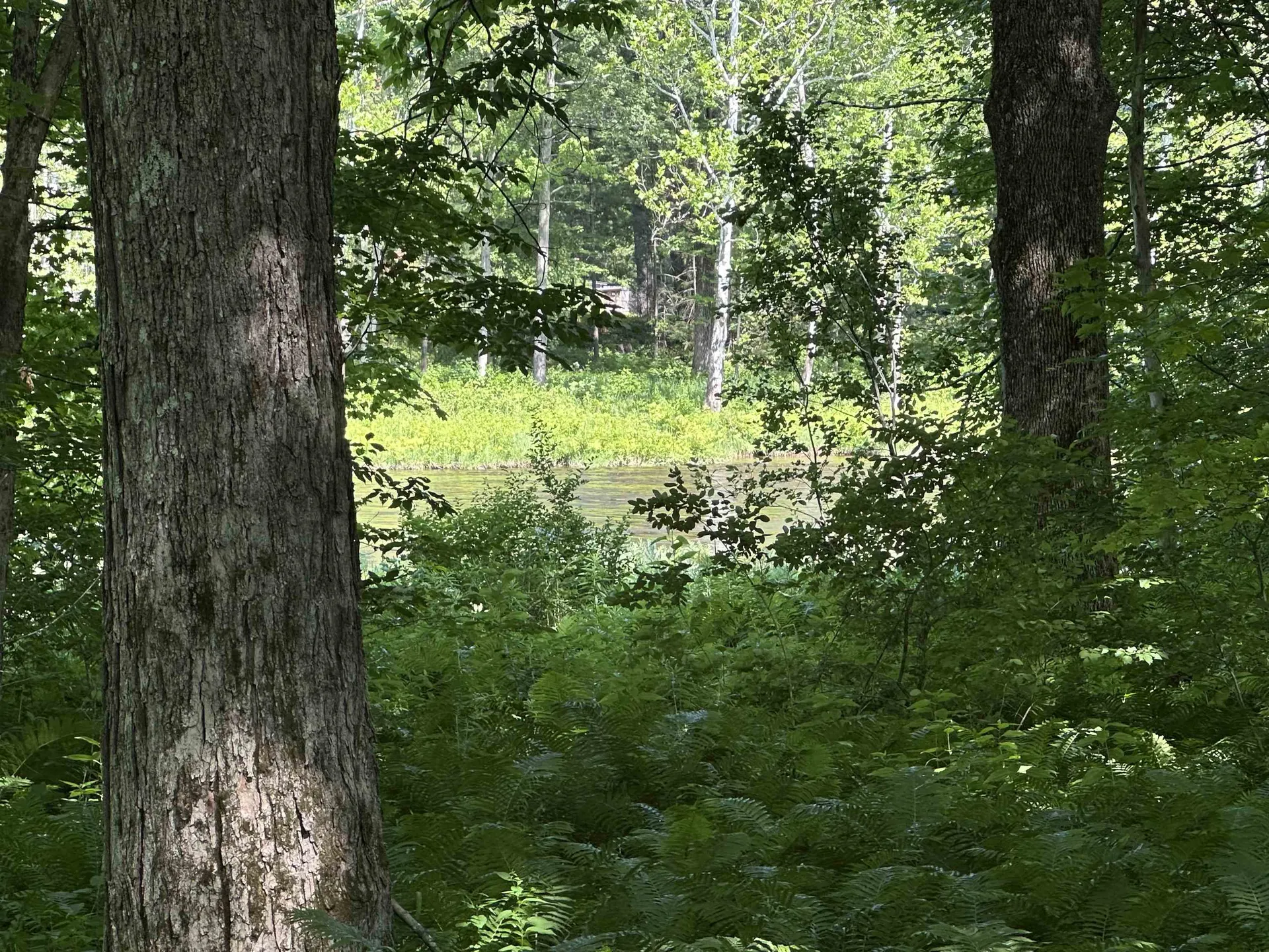 2903 State Forest Road Townshend VT 05353