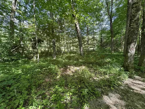 2903 State Forest Road Townshend VT 05353