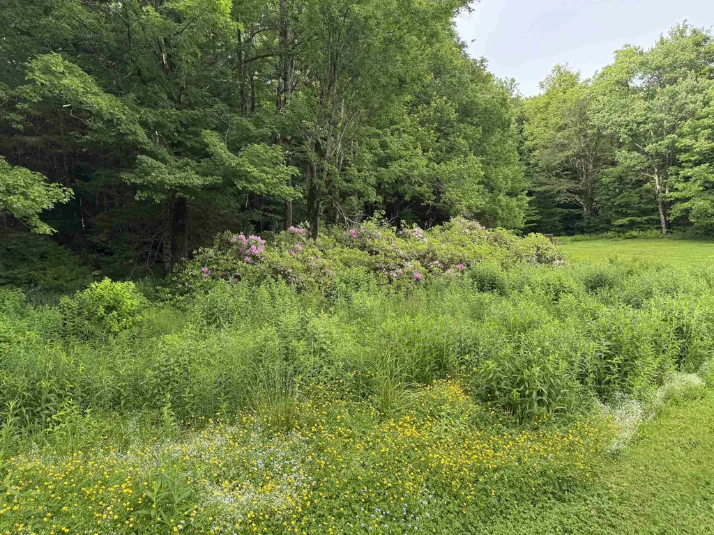 141 Williams Road Readsboro VT 05350