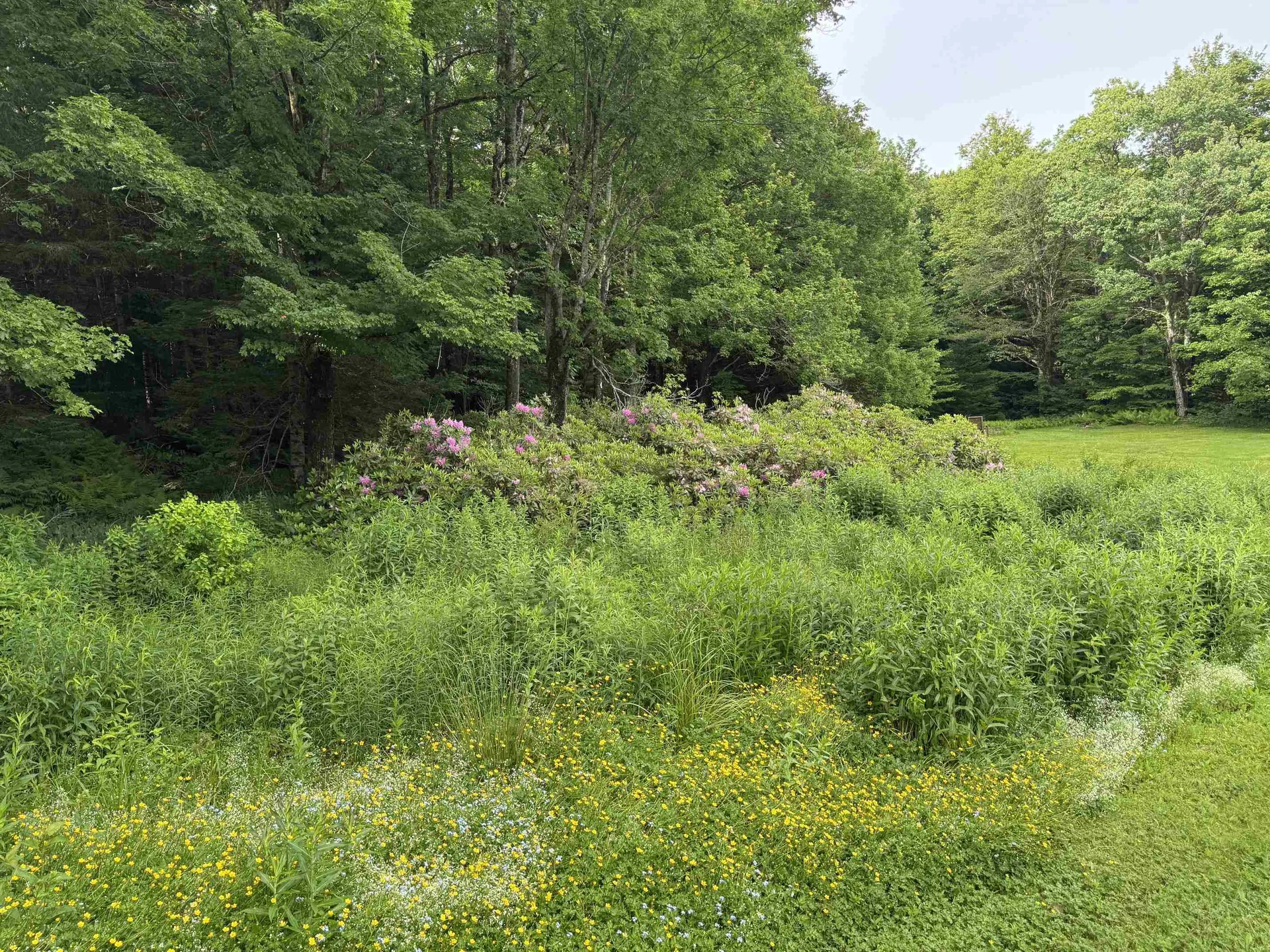141 Williams Road Readsboro VT 05350