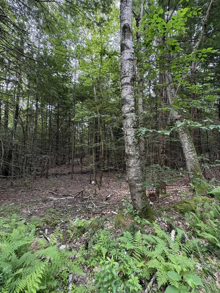 0 Access Road Chesterfield NH 03462