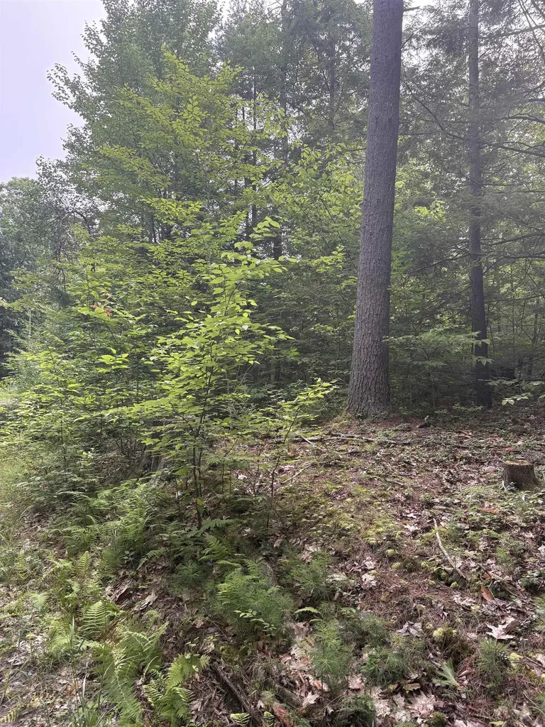 0 Access Road Chesterfield NH 03462