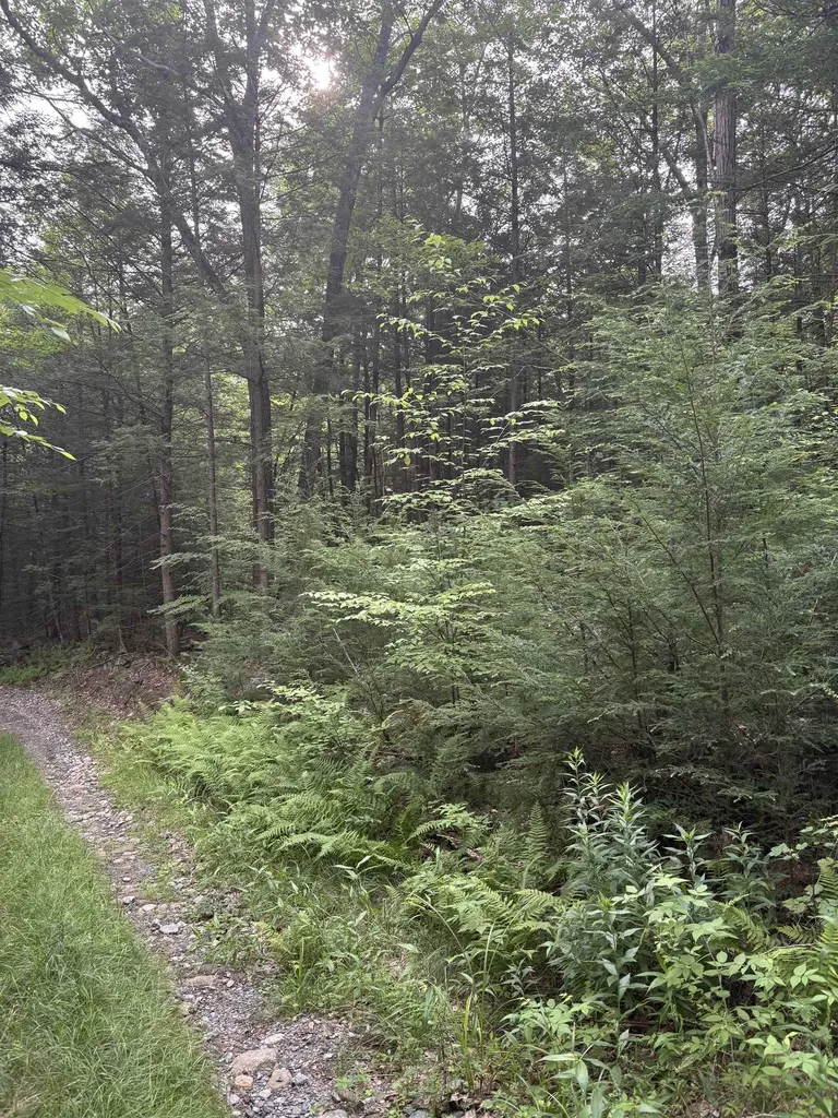 0 Access Road Chesterfield NH 03462