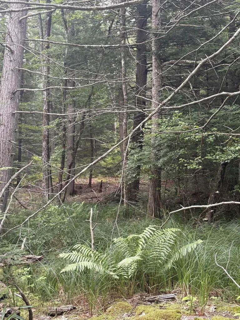 0 Access Road Chesterfield NH 03462