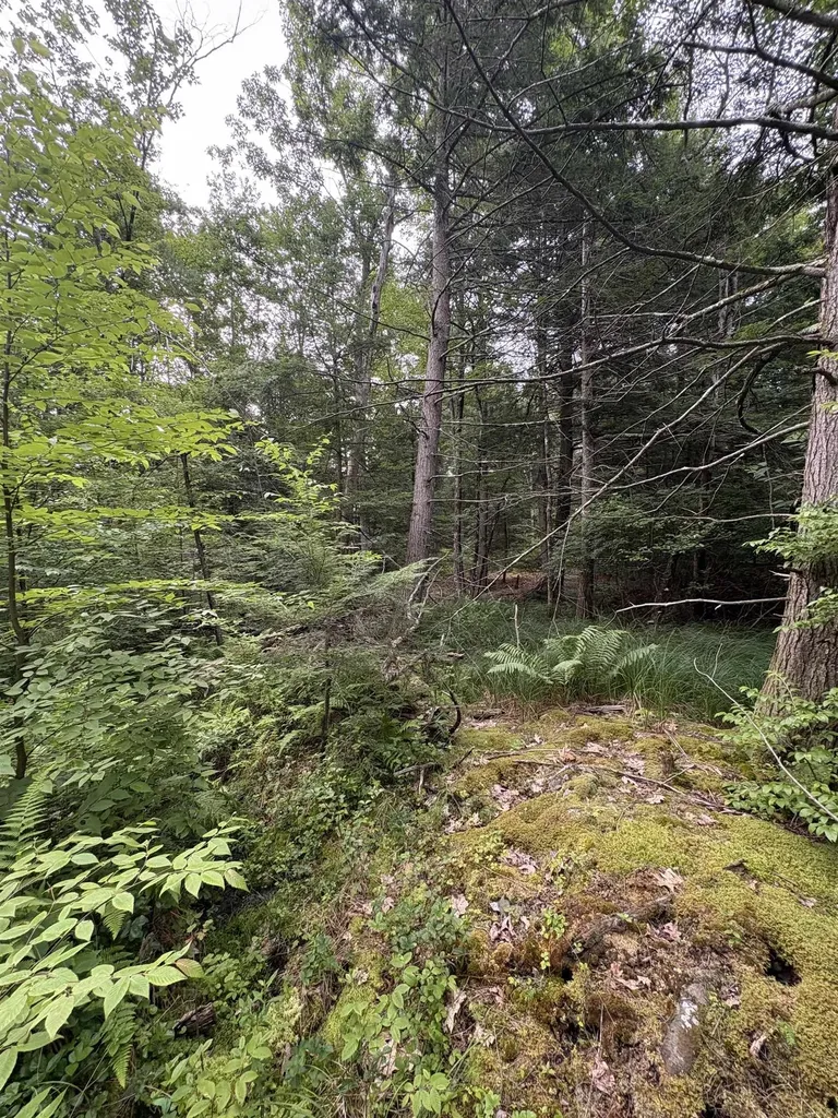 0 Access Road Chesterfield NH 03462