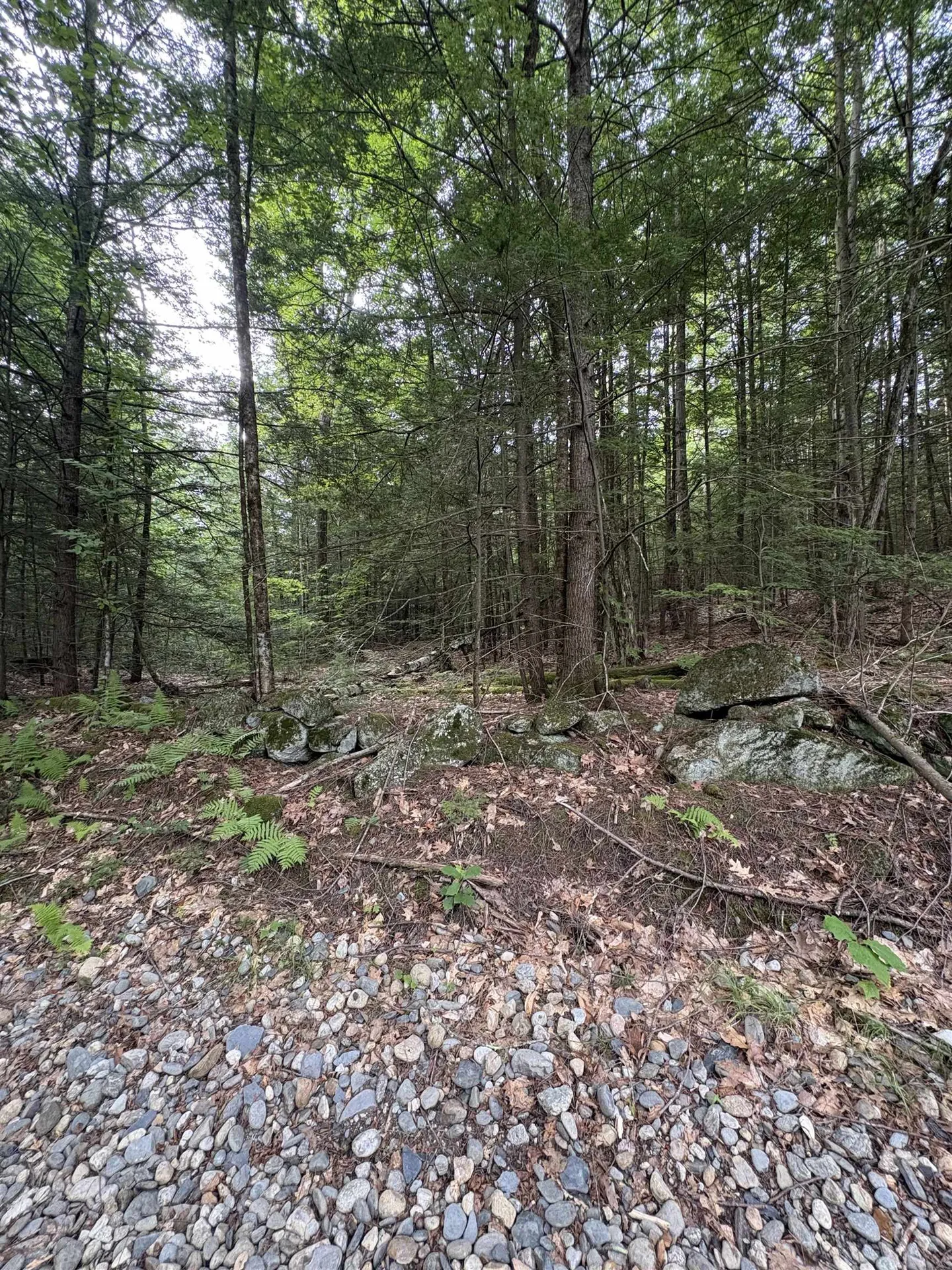 0 Access Road Chesterfield NH 03462