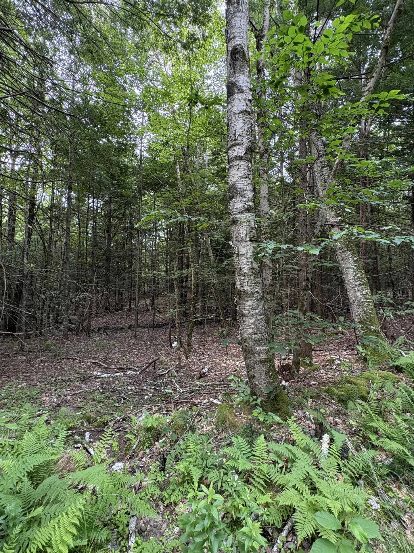0 Access Road Chesterfield NH 03462