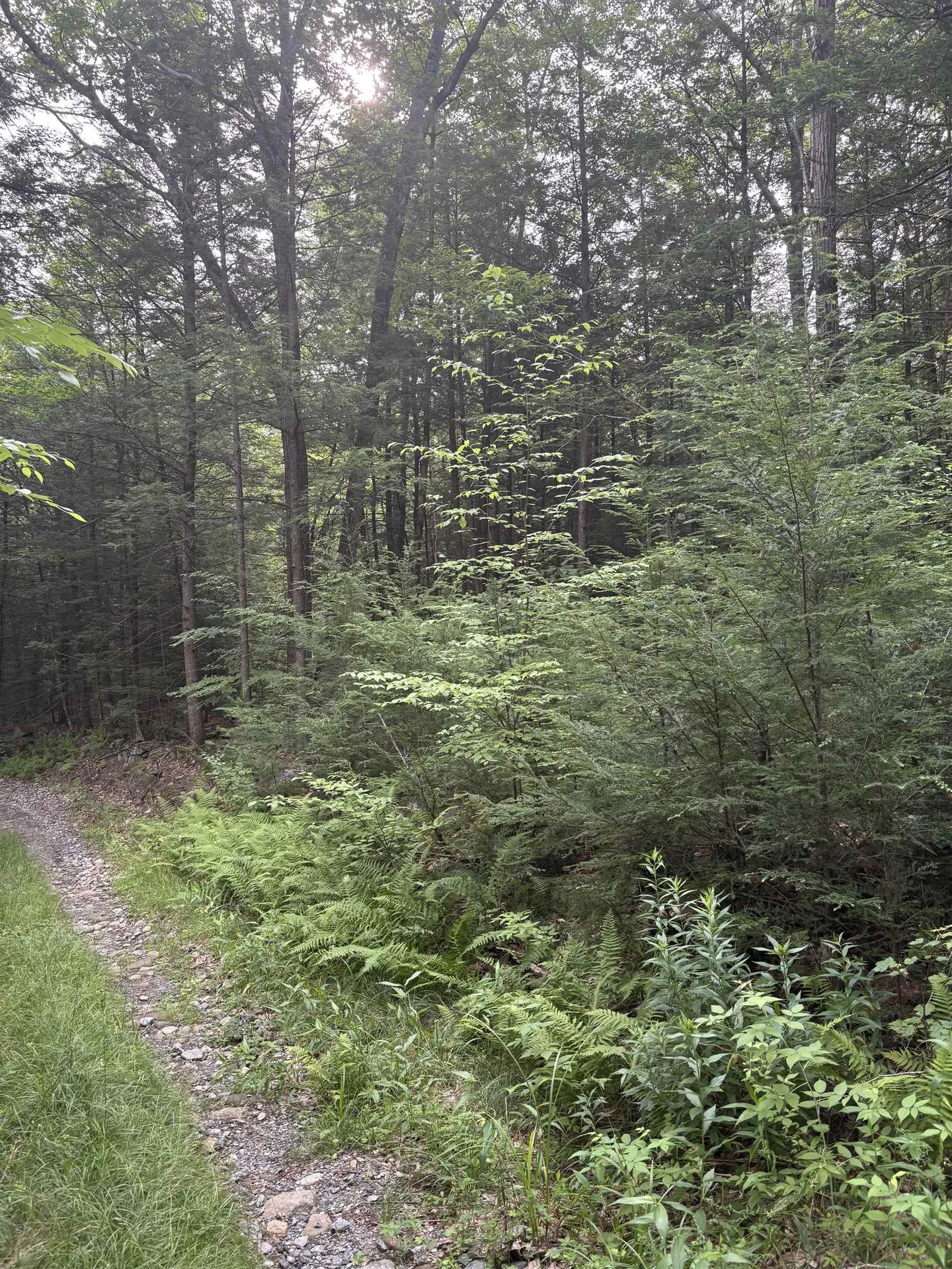 0 Access Road Chesterfield NH 03462