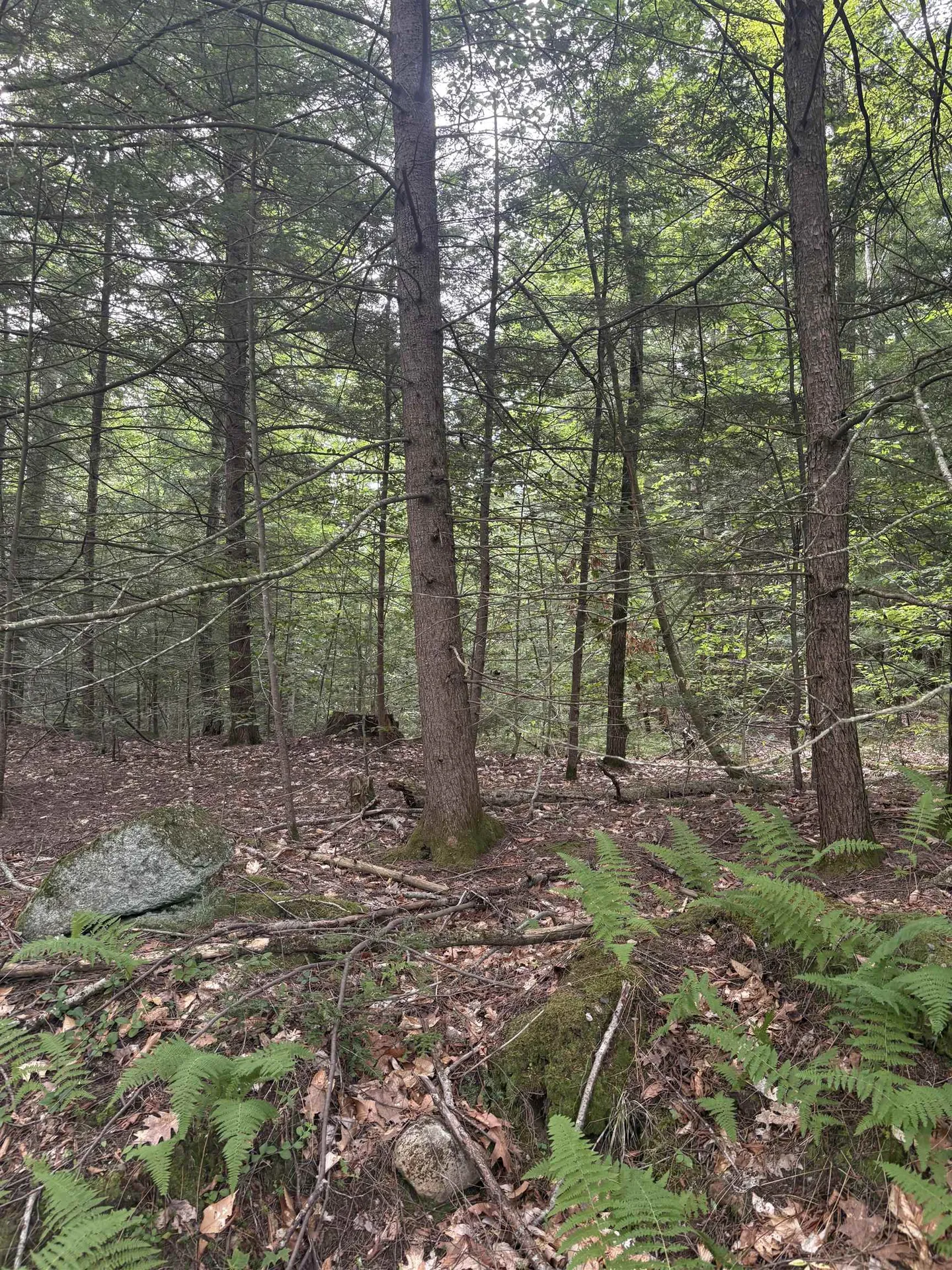 0 Access Road Chesterfield NH 03462