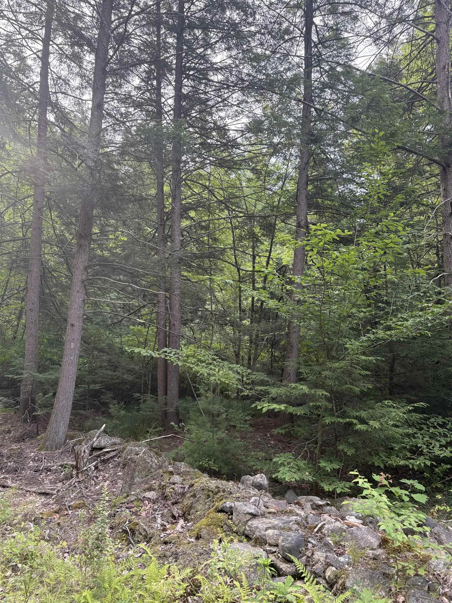 0 Access Road Chesterfield NH 03462