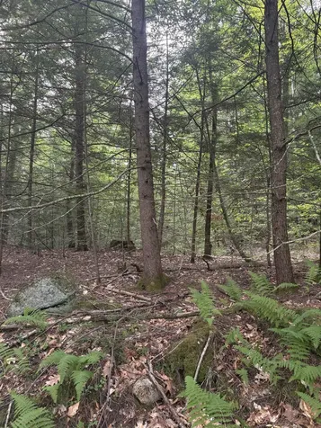 0 Access Road Chesterfield NH 03462