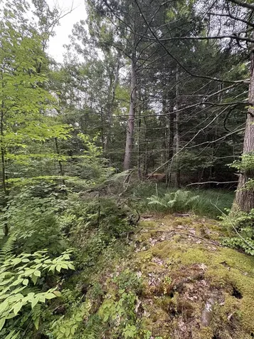 0 Access Road Chesterfield NH 03462