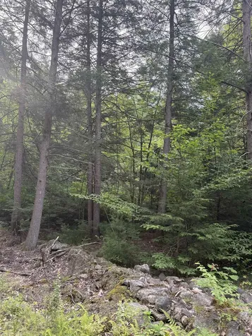 0 Access Road Chesterfield NH 03462