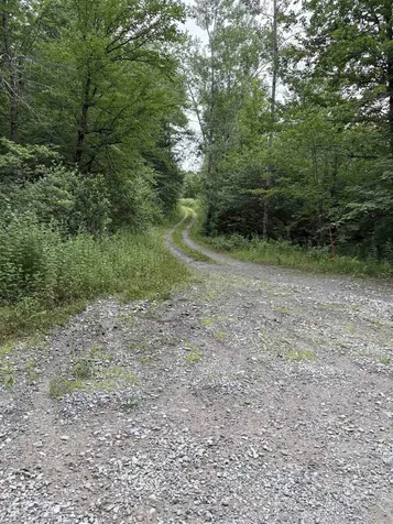 0 Access Road Chesterfield NH 03462