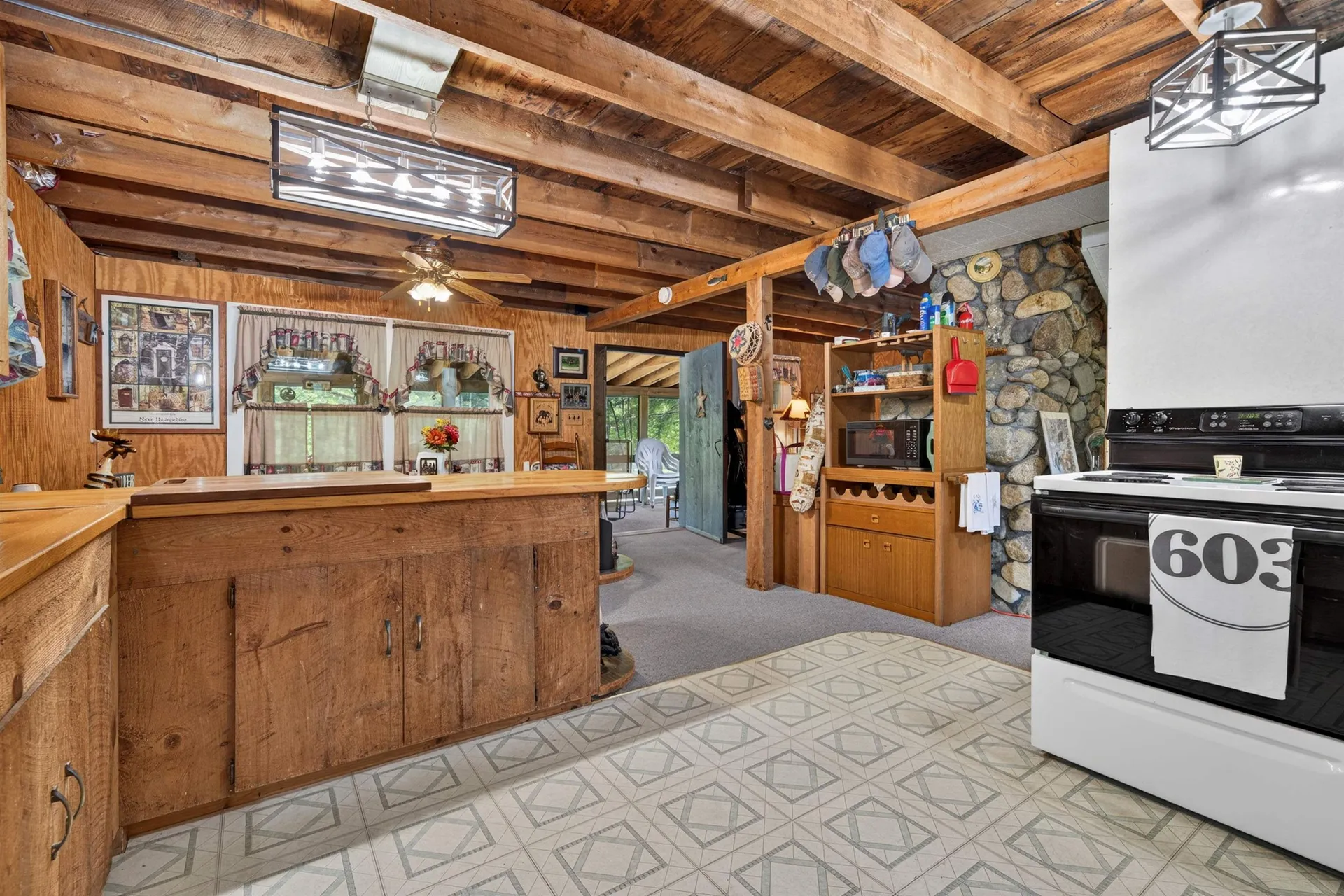 29 Bearcamp River Road Ossipee NH 03890