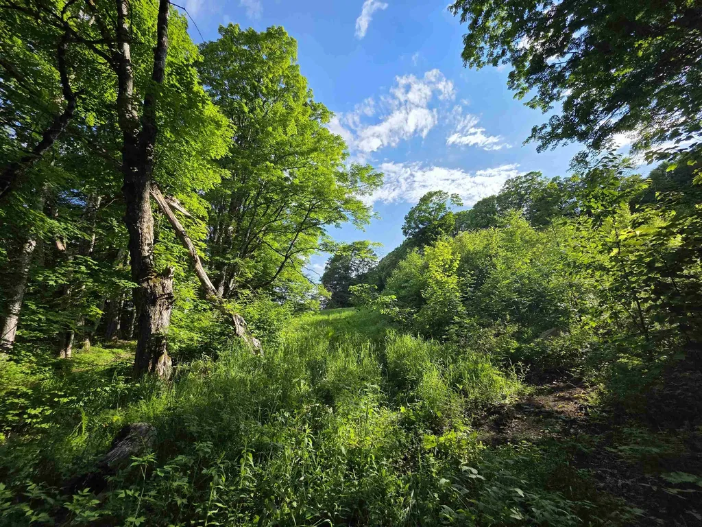 2001 Keiser Pond Road Peacham VT 05862