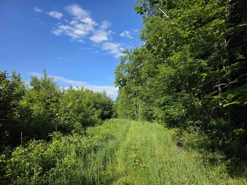 2001 Keiser Pond Road Peacham VT 05862