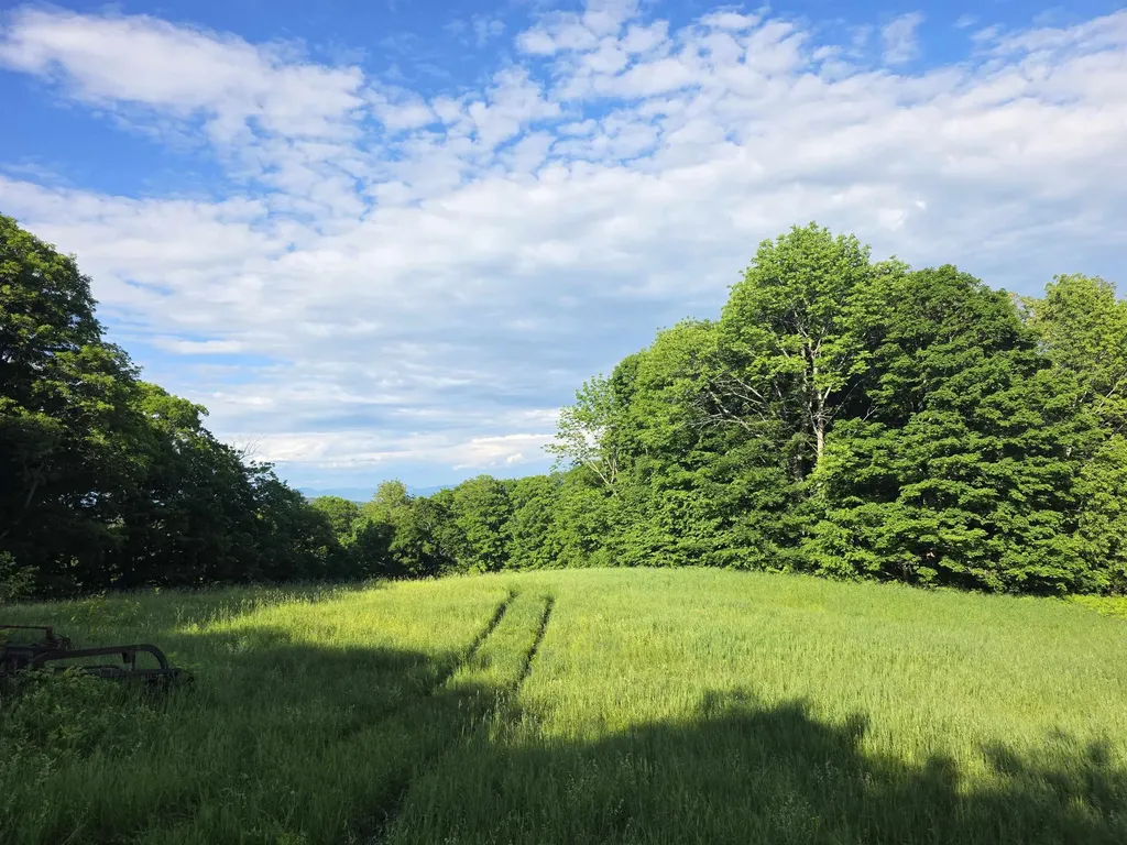 2001 Keiser Pond Road Peacham VT 05862