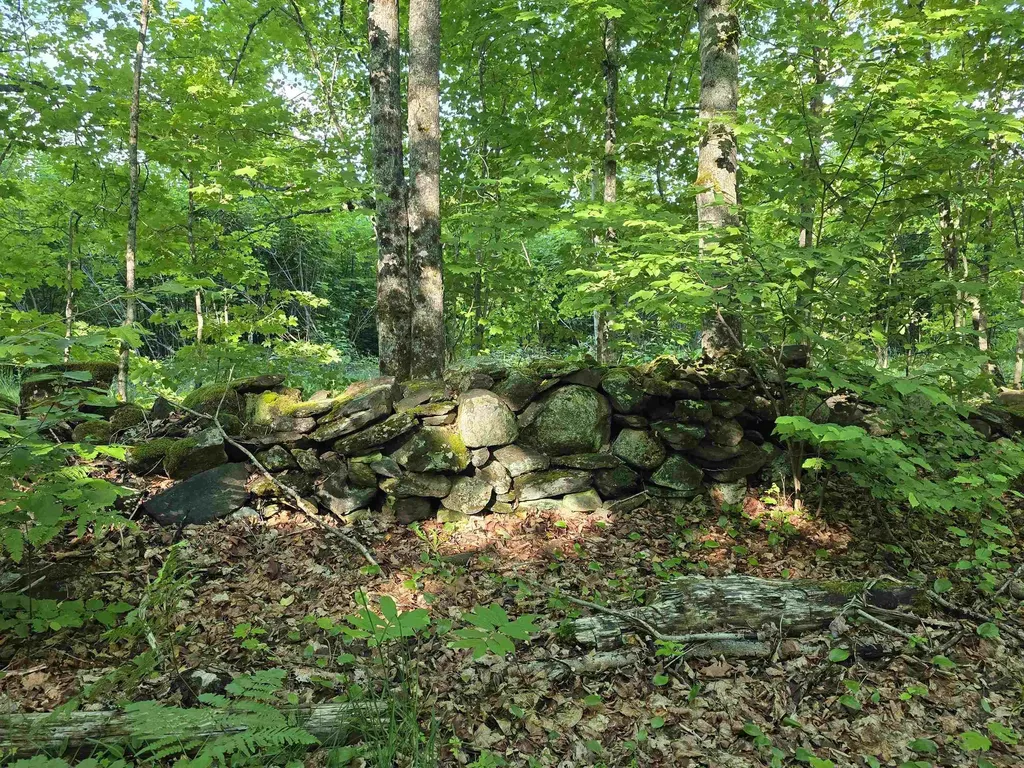 2001 Keiser Pond Road Peacham VT 05862