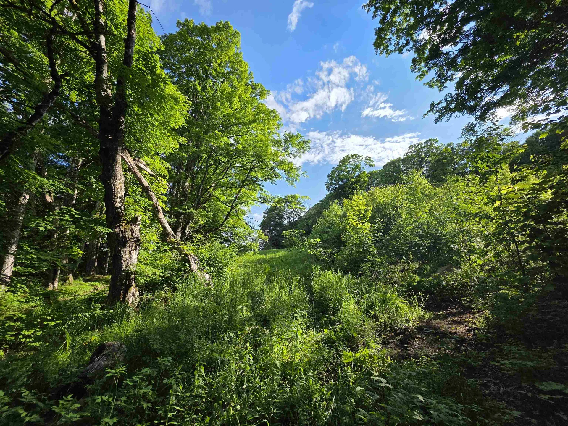 2001 Keiser Pond Road Peacham VT 05862