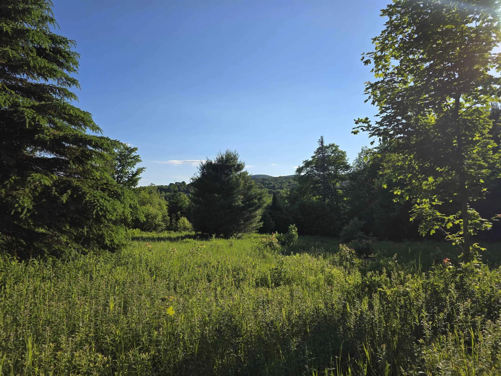2001 Keiser Pond Road Peacham VT 05862