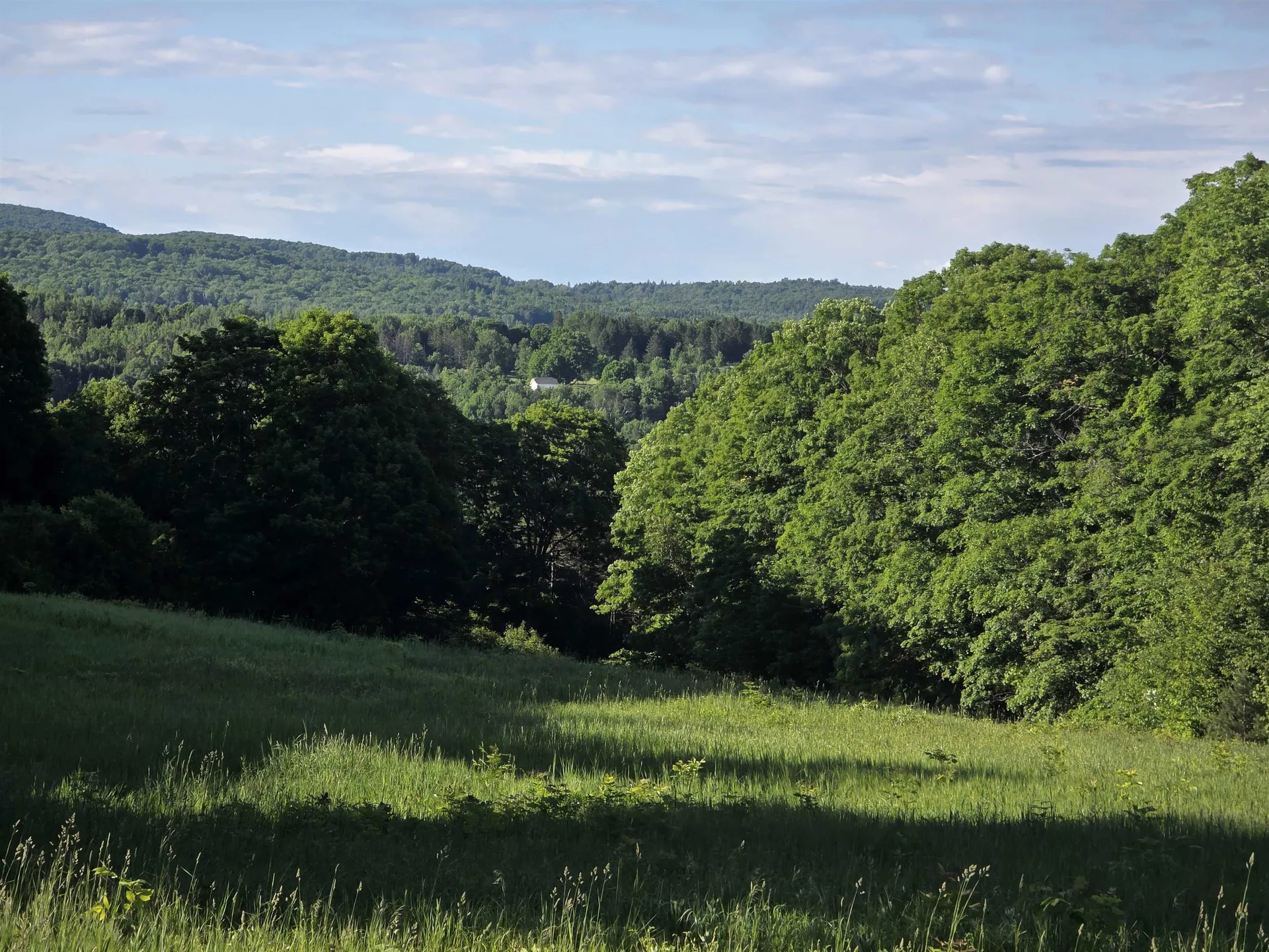 2001 Keiser Pond Road Peacham VT 05862