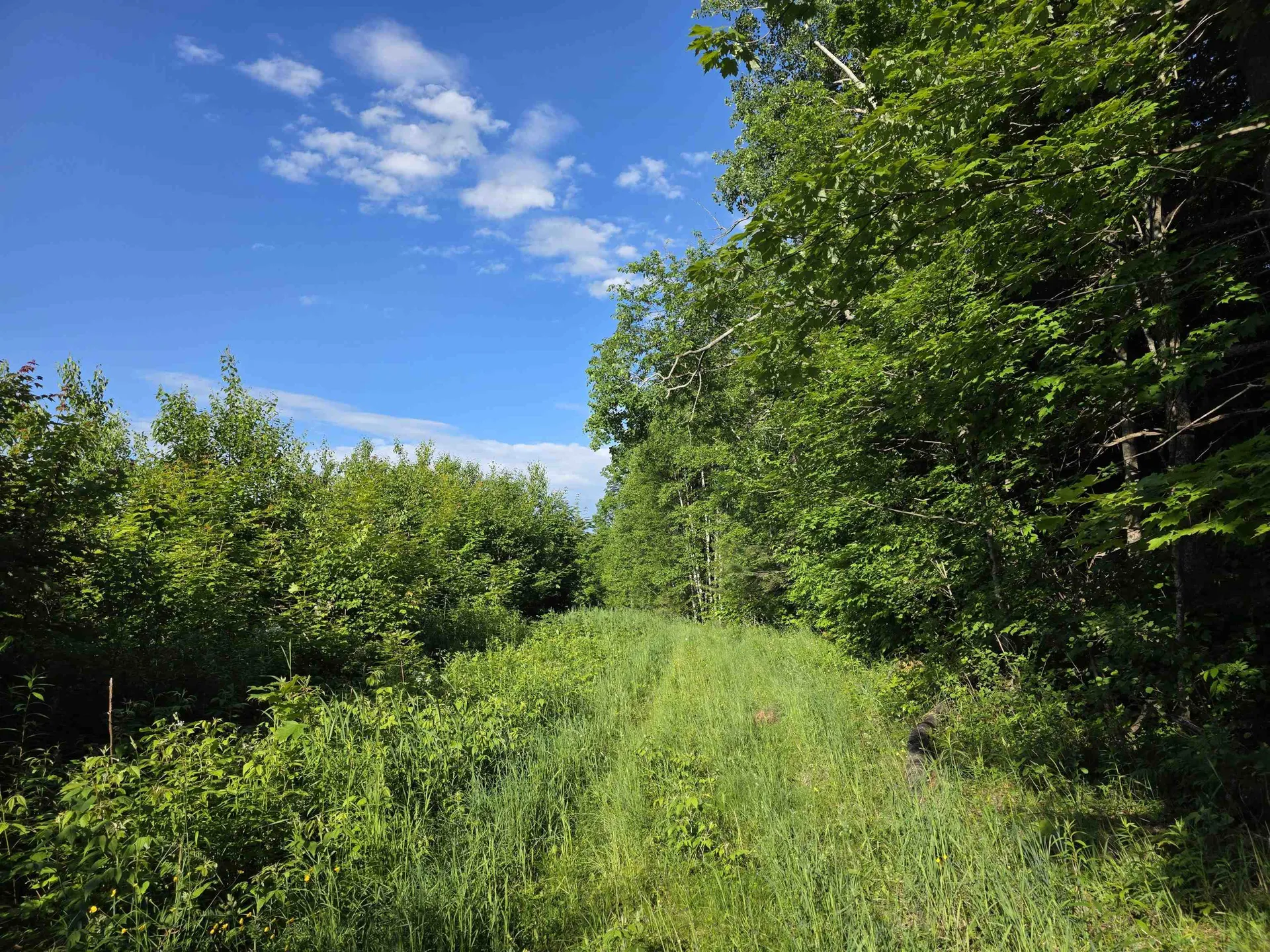 2001 Keiser Pond Road Peacham VT 05862