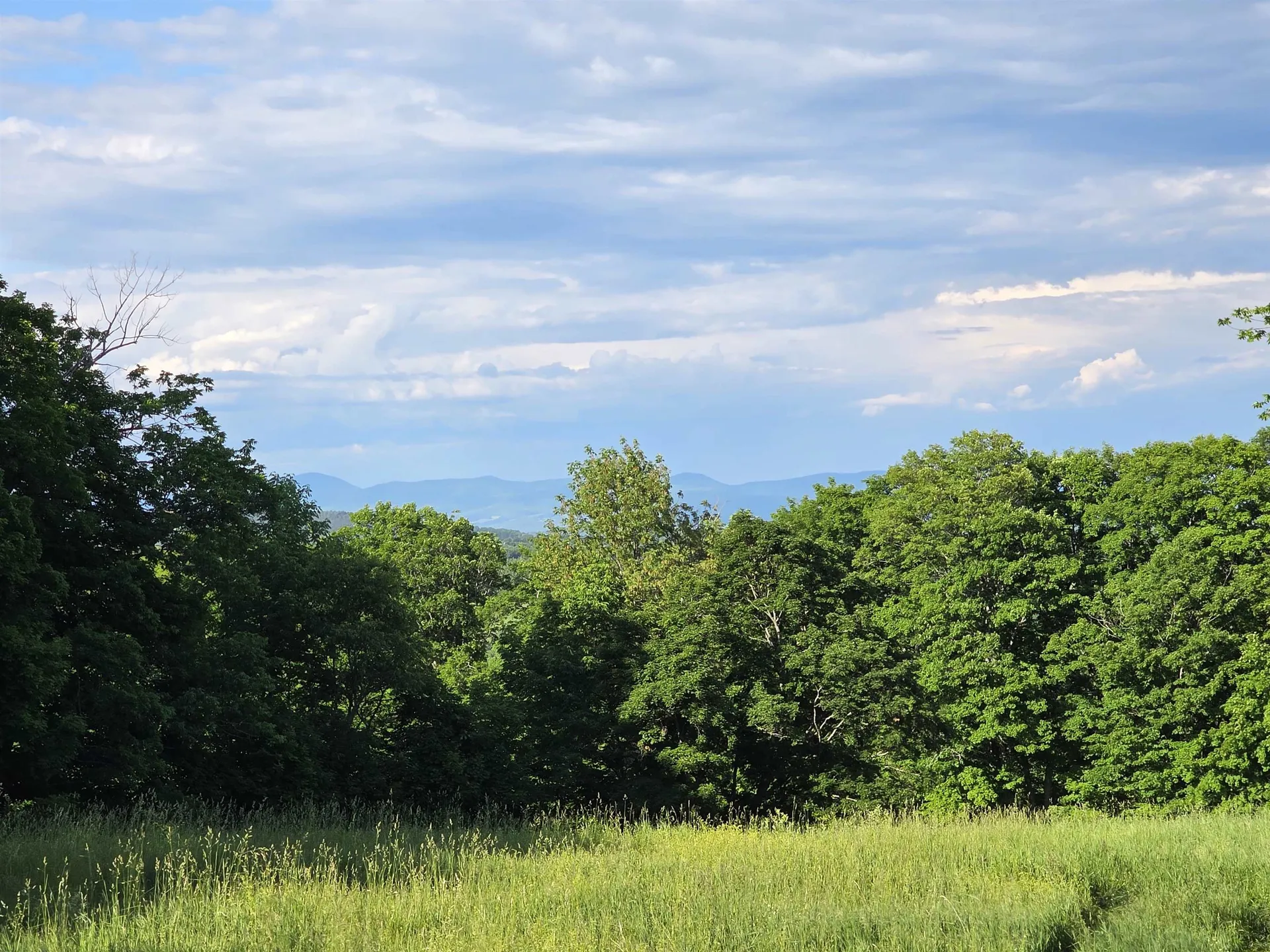 2001 Keiser Pond Road Peacham VT 05862