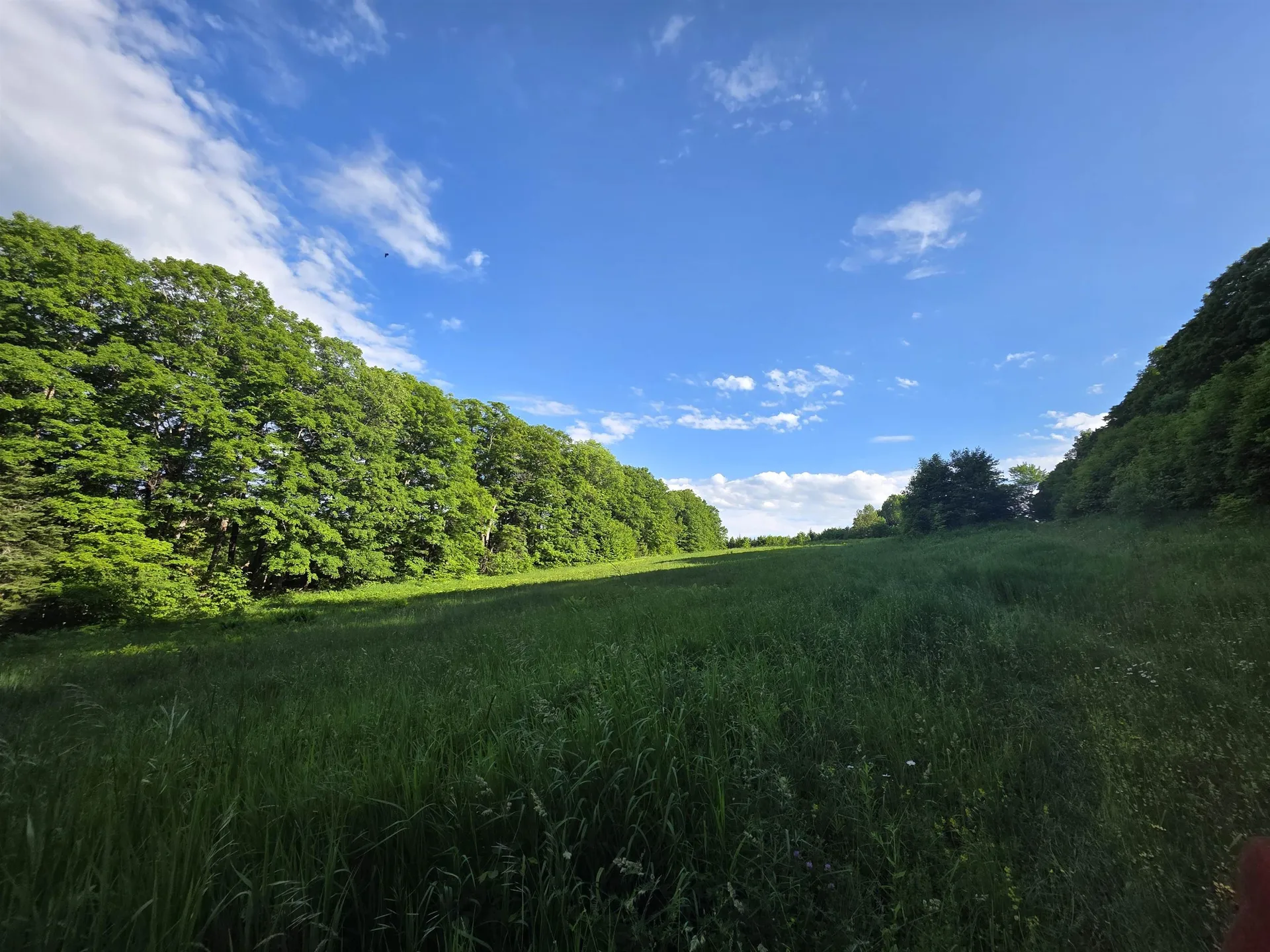 2001 Keiser Pond Road Peacham VT 05862