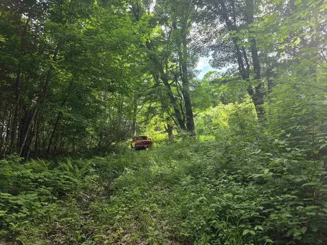 2001 Keiser Pond Road Peacham VT 05862