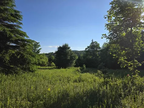 2001 Keiser Pond Road Peacham VT 05862