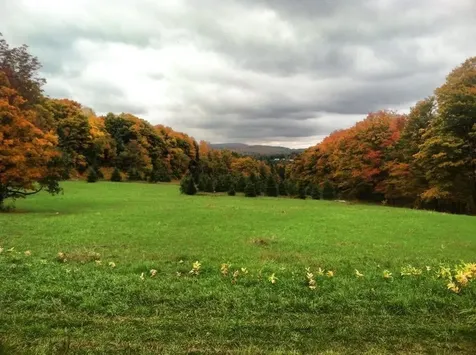 2001 Keiser Pond Road Peacham VT 05862