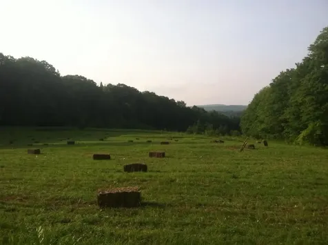2001 Keiser Pond Road Peacham VT 05862