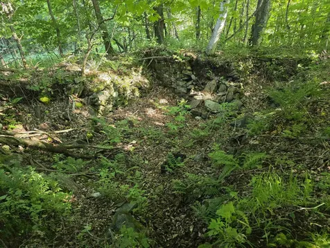 2001 Keiser Pond Road Peacham VT 05862