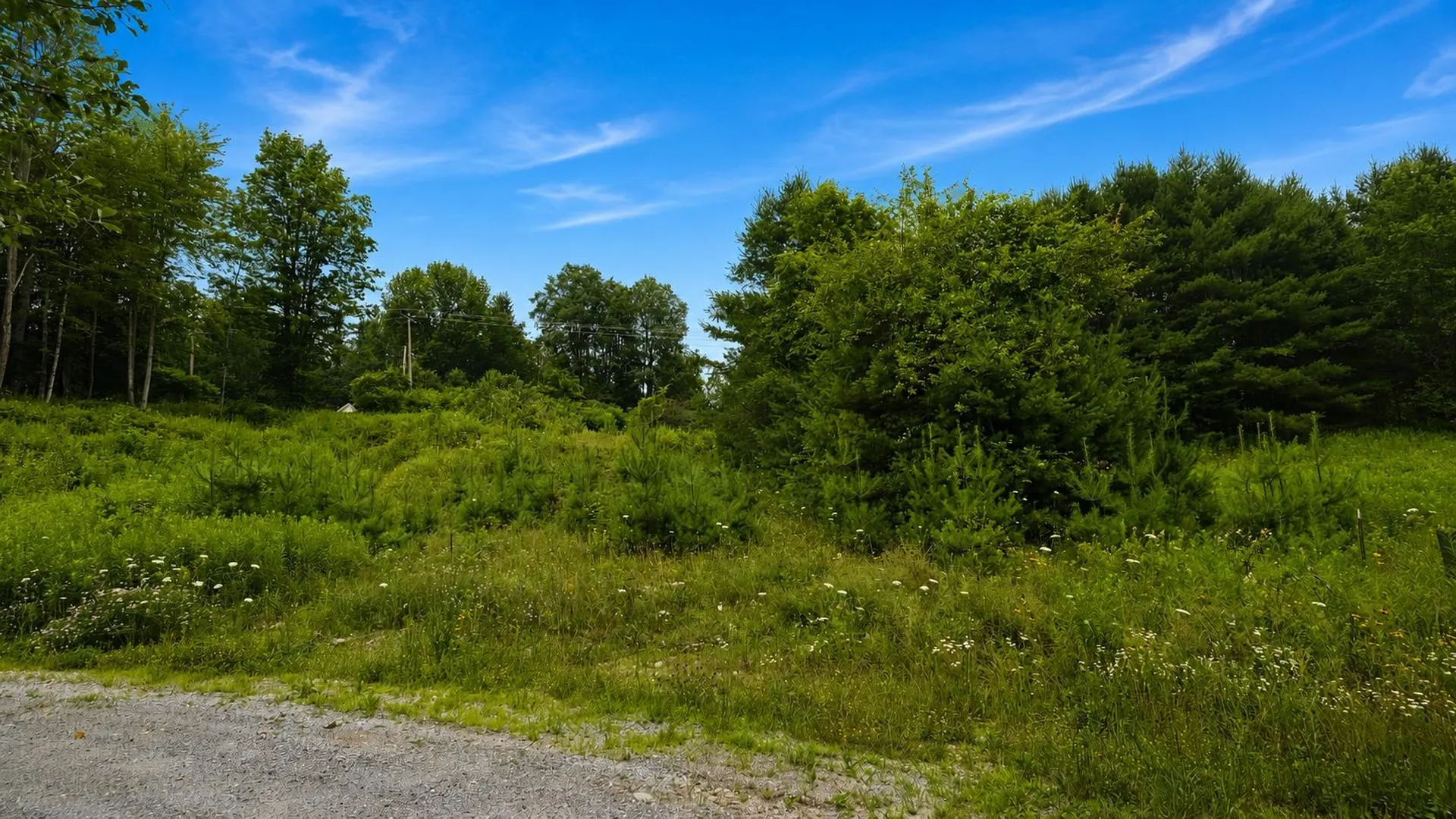 0 Lathrop Loop Ludlow VT 05149