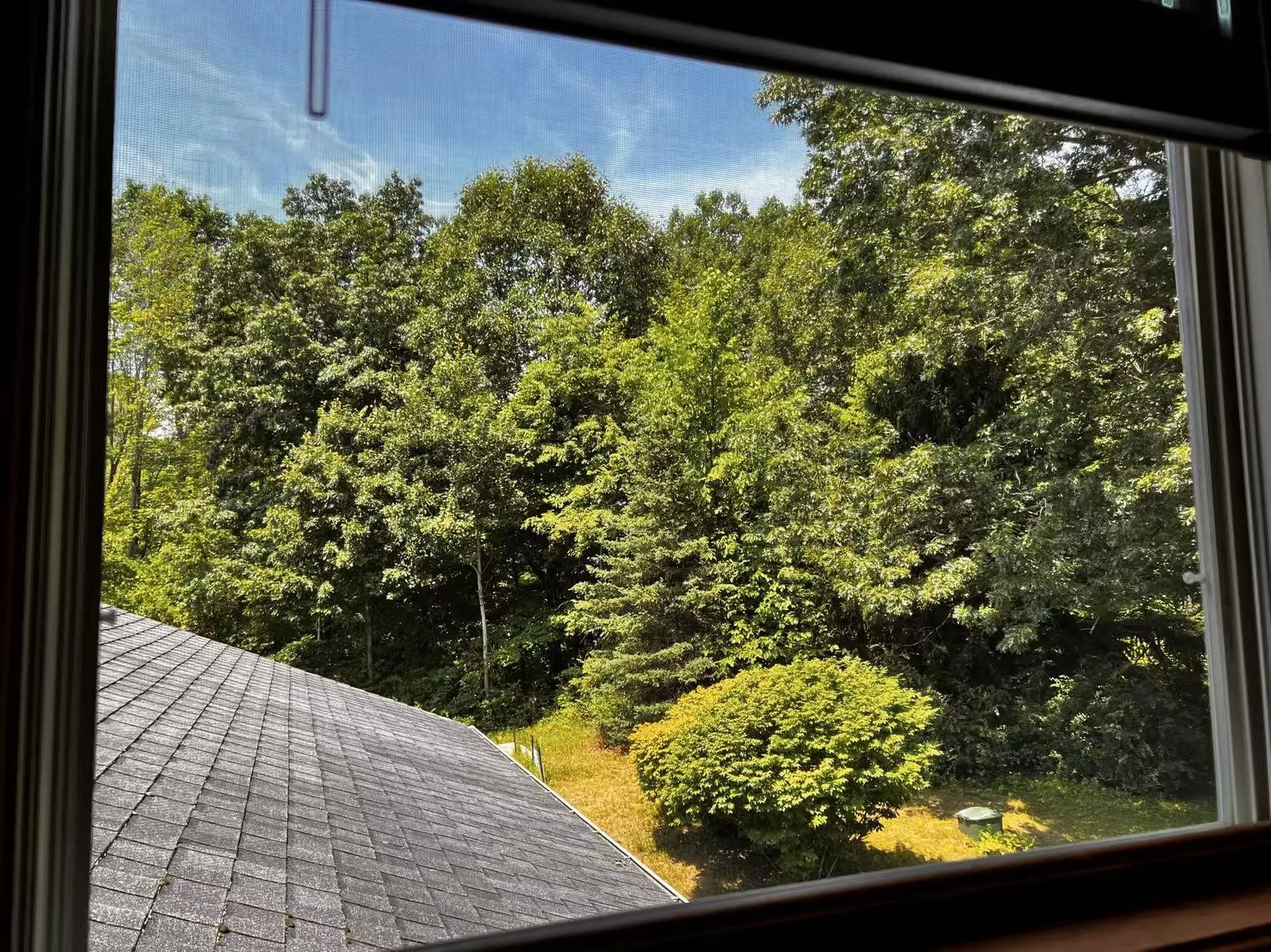 1301 Blakely Road Colchester VT 05446