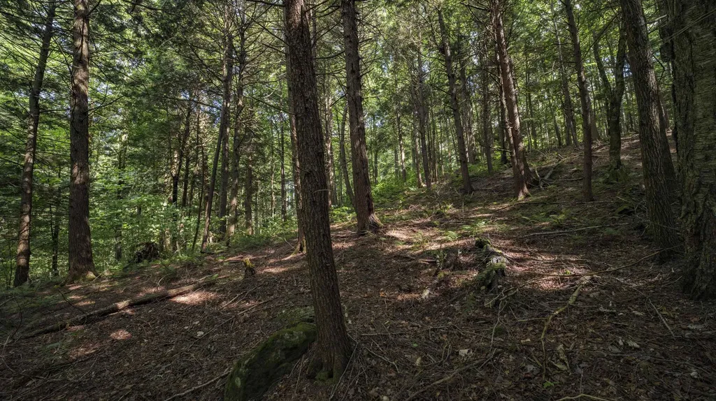00 Ryder Pond Road Whitingham VT 05361