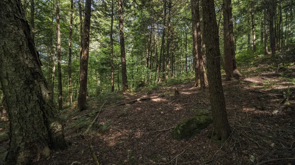 00 Ryder Pond Road Whitingham VT 05361