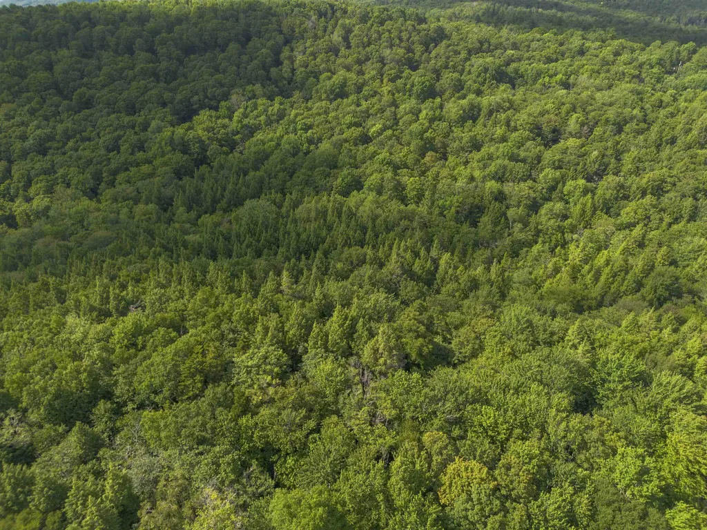 00 Ryder Pond Road Whitingham VT 05361