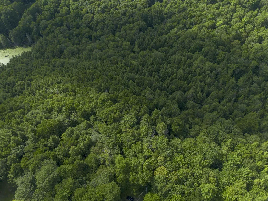 00 Ryder Pond Road Whitingham VT 05361