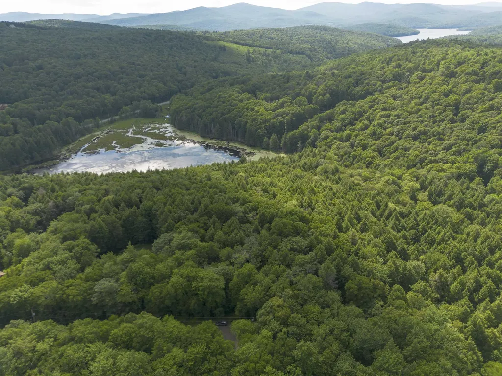 00 Ryder Pond Road Whitingham VT 05361