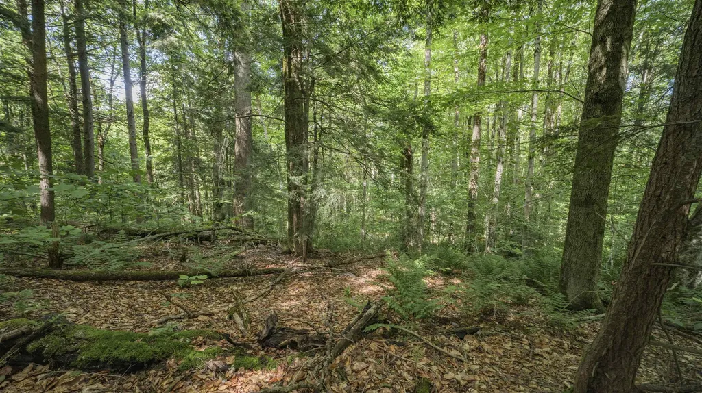 00 Ryder Pond Road Whitingham VT 05361