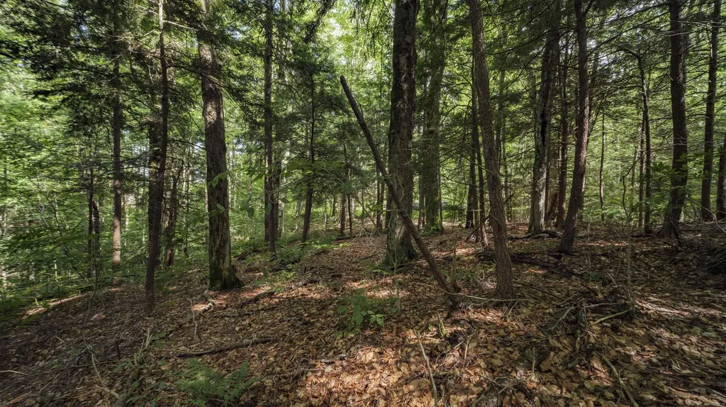 00 Ryder Pond Road Whitingham VT 05361